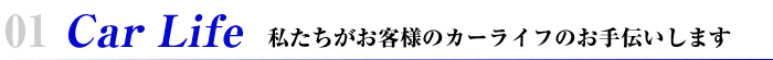 ql̃J[Ct̂`܂
